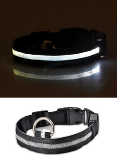 LED Dog Collar