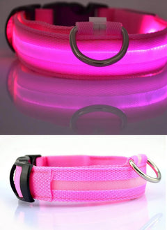 LED Dog Collar