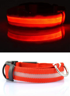 LED Dog Collar