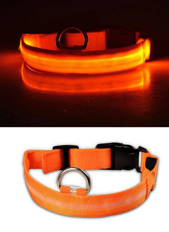 LED Dog Collar