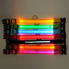 LED Dog Collar