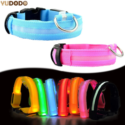 LED Dog Collar