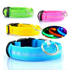 LED Dog Collar