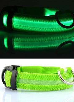 LED Dog Collar