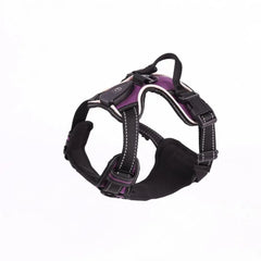 lumiglow Pet Harness