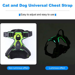 lumiglow Pet Harness