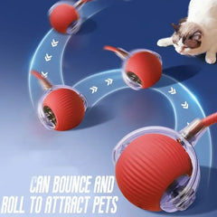 Automatic Moving Cat Dog Chase Toy