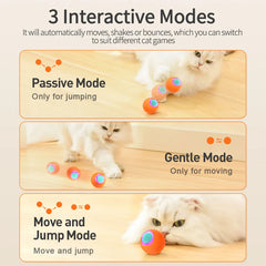 Smart Cat Ball Toys