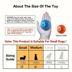 Smart Dog Ball Toy