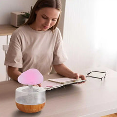 Rain Cloud Humidifier