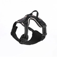 lumiglow Pet Harness