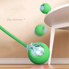 Automatic Moving Cat Dog Chase Toy