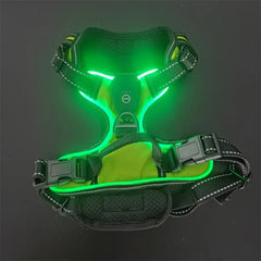 lumiglow Pet Harness