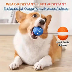 Smart Dog Ball Toy