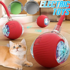 Automatic Moving Cat Dog Chase Toy