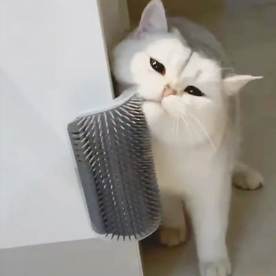 Massager  pet Hair Comb