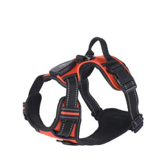 lumiglow Pet Harness