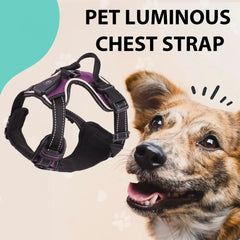 lumiglow Pet Harness