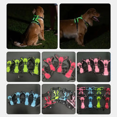 lumiglow Pet Harness