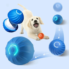 Smart Dog Ball Toy