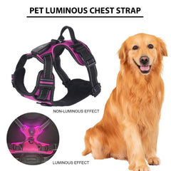 lumiglow Pet Harness