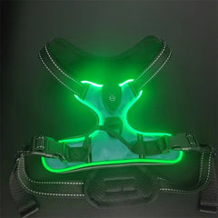 lumiglow Pet Harness